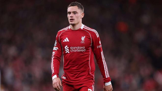 草皮与执法 草皮与执法